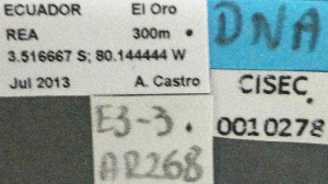  ( - BCAR268)  @11 [ ] CreativeCommons - Attribution (2015) David Donoso UTPL