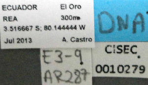  ( - BCAR287)  @11 [ ] CreativeCommons - Attribution (2015) David Donoso UTPL