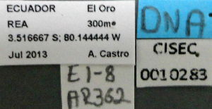  ( - BCAR362)  @11 [ ] CreativeCommons - Attribution (2015) David Donoso UTPL