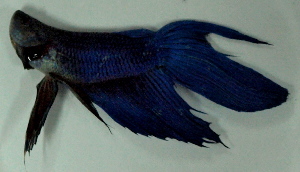  ( - 3-5201-11)  @13 [ ] Copyright (2010) Unspecified Unspecified