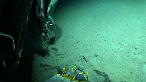  ( - PAC2022-035_OY079-008-01)  @11 [ ] CreativeCommons Attribution Non-Commercial (by-nc)  Unspecified Fisheries & Oceans Canada