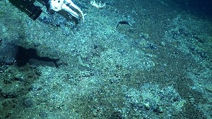  ( - PAC2022-035_OY080-016-01)  @11 [ ] CreativeCommons Attribution Non-Commercial (by-nc)  Unspecified Fisheries & Oceans Canada