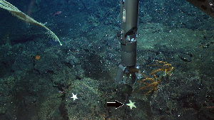  ( - PAC2022-035_OY080-020-01)  @11 [ ] CreativeCommons Attribution Non-Commercial (by-nc)  Unspecified Fisheries & Oceans Canada