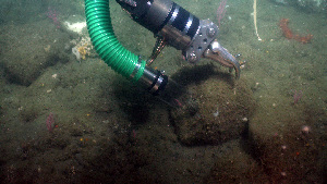  ( - PAC2022-035_OY086-055-01)  @11 [ ] CreativeCommons Attribution Non-Commercial (by-nc)  Unspecified Fisheries & Oceans Canada