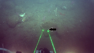  ( - PAC2022-035_OY086-055-01)  @11 [ ] CreativeCommons Attribution Non-Commercial (by-nc)  Unspecified Fisheries & Oceans Canada