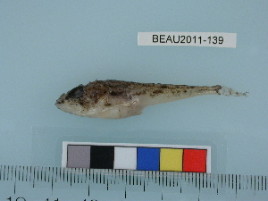  ( - BEAU2011-139a)  @13 [ ] Copyright (2012) C. W. Mecklenburg Point Stephens Research