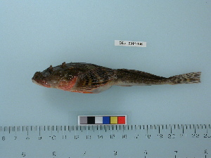  ( - BEAU2011-146a)  @13 [ ] Copyright (2012) C. W. Mecklenburg Point Stephens Research