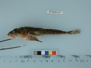  ( - BEAU2011-147a)  @12 [ ] Copyright (2012) C. W. Mecklenburg Point Stephens Research