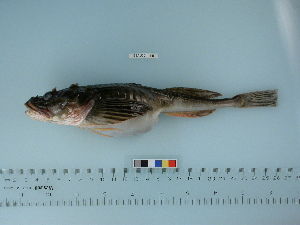  ( - BEAU2011-148a)  @13 [ ] Copyright (2012) C. W. Mecklenburg Point Stephens Research