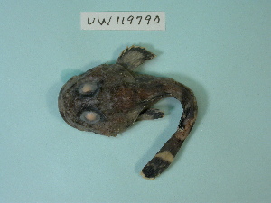  ( - UW119790)  @12 [ ] Copyright (2013) C. W. Mecklenburg Point Stephens Research