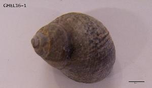  ( - DSGD127)  @13 [ ] Unspecified (default): All Rights Reserved  Unspecified Unspecified