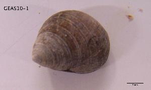  ( - DSGD132)  @13 [ ] Unspecified (default): All Rights Reserved  Unspecified Unspecified