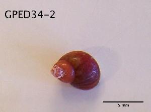  ( - DSGD147)  @12 [ ] Unspecified (default): All Rights Reserved  Unspecified Unspecified