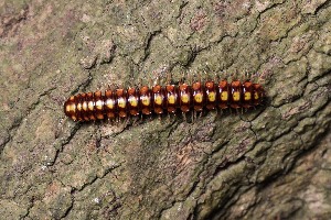  ( - TOL_BGEG_127_G07)  @11 [ ] Copyright © (2025) Konstantinos Kalaentzis Unspecified