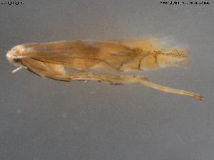  ( - BGPT_003_D07)  @11 [ ] Creative Commons Attribution NonCommercial ShareAlike (2025) (2025) Research Center in Biodiversity and Genetic Resources Research Center in Biodiversity and Genetic Resources