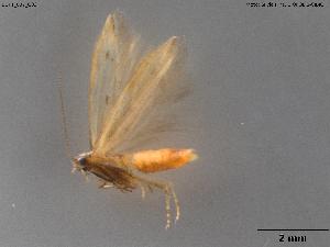  ( - BGPT_007_G03)  @11 [ ] Creative Commons Attribution NonCommercial ShareAlike (2025) (2025) Research Center in Biodiversity and Genetic Resources Research Center in Biodiversity and Genetic Resources