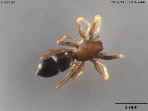  ( - BGPT_004_D07)  @11 [ ] Creative Commons Attribution NonCommercial ShareAlike (2025) (2025) Research Center in Biodiversity and Genetic Resources Research Center in Biodiversity and Genetic Resources