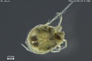  ( - BGPT_018_E12)  @11 [ ] Creative Commons Attribution NonCommercial ShareAlike (2025) (2025) Research Center in Biodiversity and Genetic Resources Research Center in Biodiversity and Genetic Resources