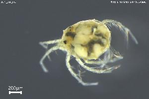  ( - BGPT_018_F12)  @11 [ ] Creative Commons Attribution NonCommercial ShareAlike (2025) (2025) Research Center in Biodiversity and Genetic Resources Research Center in Biodiversity and Genetic Resources