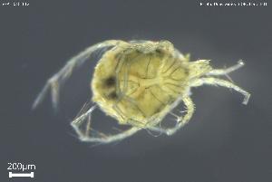  ( - BGPT_018_F12)  @11 [ ] Creative Commons Attribution NonCommercial ShareAlike (2025) (2025) Research Center in Biodiversity and Genetic Resources Research Center in Biodiversity and Genetic Resources