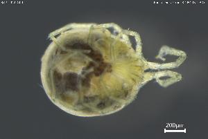  ( - BGPT_022_G09)  @11 [ ] Creative Commons Attribution NonCommercial ShareAlike (2025) (2025) Research Center in Biodiversity and Genetic Resources Research Center in Biodiversity and Genetic Resources