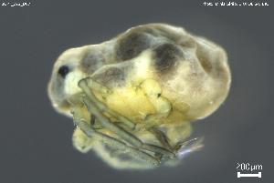  ( - BGPT_022_D07)  @11 [ ] Creative Commons Attribution NonCommercial ShareAlike (2025) (2025) Research Center in Biodiversity and Genetic Resources Research Center in Biodiversity and Genetic Resources