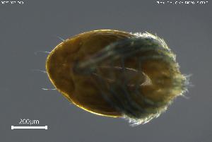  ( - BGPT_022_D09)  @11 [ ] Creative Commons Attribution NonCommercial ShareAlike (2025) (2025) Research Center in Biodiversity and Genetic Resources Research Center in Biodiversity and Genetic Resources