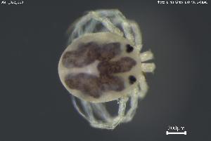  ( - BGPT_022_G08)  @11 [ ] Creative Commons Attribution NonCommercial ShareAlike (2025) (2025) Research Center in Biodiversity and Genetic Resources Research Center in Biodiversity and Genetic Resources