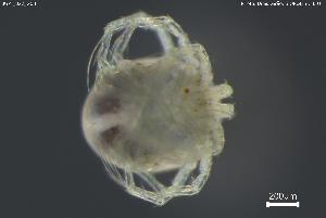  ( - BGPT_022_G08)  @11 [ ] Creative Commons Attribution NonCommercial ShareAlike (2025) (2025) Research Center in Biodiversity and Genetic Resources Research Center in Biodiversity and Genetic Resources