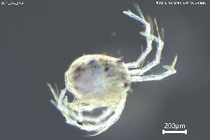  ( - BGPT_022_H08)  @11 [ ] Creative Commons Attribution NonCommercial ShareAlike (2025) (2025) Research Center in Biodiversity and Genetic Resources Research Center in Biodiversity and Genetic Resources