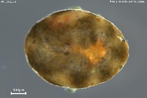  ( - BGPT_022_G01)  @11 [ ] Creative Commons Attribution NonCommercial ShareAlike (2025) (2025) Research Center in Biodiversity and Genetic Resources Research Center in Biodiversity and Genetic Resources