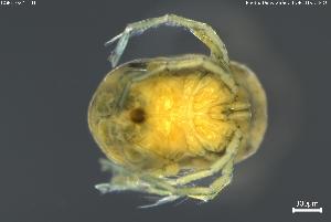  ( - BGPT_022_H01)  @11 [ ] Creative Commons Attribution NonCommercial ShareAlike (2025) (2025) Research Center in Biodiversity and Genetic Resources Research Center in Biodiversity and Genetic Resources