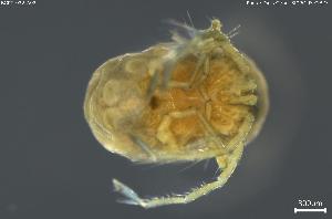  ( - BGPT_022_A02)  @11 [ ] Creative Commons Attribution NonCommercial ShareAlike (2025) (2025) Research Center in Biodiversity and Genetic Resources Research Center in Biodiversity and Genetic Resources