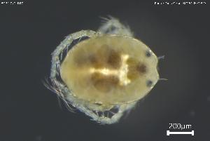  ( - BGPT_022_D10)  @11 [ ] Creative Commons Attribution NonCommercial ShareAlike (2025) (2025) Research Center in Biodiversity and Genetic Resources Research Center in Biodiversity and Genetic Resources