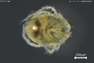  ( - BGPT_022_D10)  @11 [ ] Creative Commons Attribution NonCommercial ShareAlike (2025) (2025) Research Center in Biodiversity and Genetic Resources Research Center in Biodiversity and Genetic Resources