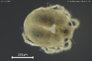  ( - BGPT_022_D12)  @11 [ ] Creative Commons Attribution NonCommercial ShareAlike (2025) (2025) Research Center in Biodiversity and Genetic Resources Research Center in Biodiversity and Genetic Resources