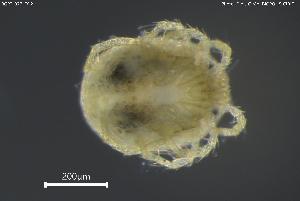  ( - BGPT_022_D12)  @11 [ ] Creative Commons Attribution NonCommercial ShareAlike (2025) (2025) Research Center in Biodiversity and Genetic Resources Research Center in Biodiversity and Genetic Resources