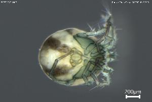  ( - BGPT_022_H07)  @11 [ ] Creative Commons Attribution NonCommercial ShareAlike (2025) (2025) Research Center in Biodiversity and Genetic Resources Research Center in Biodiversity and Genetic Resources