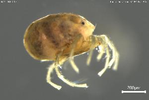  ( - BGPT_018_C09)  @11 [ ] Creative Commons Attribution NonCommercial ShareAlike (2025) (2025) Research Center in Biodiversity and Genetic Resources Research Center in Biodiversity and Genetic Resources