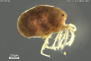  ( - BGPT_018_D09)  @11 [ ] Creative Commons Attribution NonCommercial ShareAlike (2025) (2025) Research Center in Biodiversity and Genetic Resources Research Center in Biodiversity and Genetic Resources