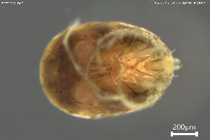  ( - BGPT_018_D09)  @11 [ ] Creative Commons Attribution NonCommercial ShareAlike (2025) (2025) Research Center in Biodiversity and Genetic Resources Research Center in Biodiversity and Genetic Resources