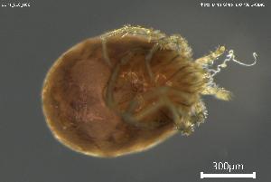  ( - BGPT_018_H06)  @11 [ ] Creative Commons Attribution NonCommercial ShareAlike (2025) (2025) Research Center in Biodiversity and Genetic Resources Research Center in Biodiversity and Genetic Resources