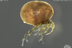  ( - BGPT_018_E05)  @11 [ ] Creative Commons Attribution NonCommercial ShareAlike (2025) (2025) Research Center in Biodiversity and Genetic Resources Research Center in Biodiversity and Genetic Resources