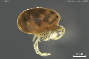  ( - BGPT_018_A04)  @11 [ ] Creative Commons Attribution NonCommercial ShareAlike (2025) (2025) Research Center in Biodiversity and Genetic Resources Research Center in Biodiversity and Genetic Resources