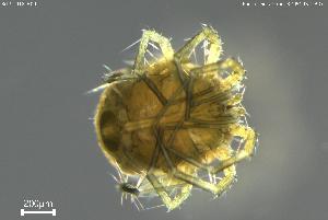  ( - BGPT_018_H09)  @11 [ ] Creative Commons Attribution NonCommercial ShareAlike (2025) (2025) Research Center in Biodiversity and Genetic Resources Research Center in Biodiversity and Genetic Resources