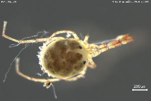  ( - BGPT_018_B01)  @11 [ ] Creative Commons Attribution NonCommercial ShareAlike (2025) (2025) Research Center in Biodiversity and Genetic Resources Research Center in Biodiversity and Genetic Resources