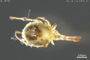  ( - BGPT_018_B01)  @11 [ ] Creative Commons Attribution NonCommercial ShareAlike (2025) (2025) Research Center in Biodiversity and Genetic Resources Research Center in Biodiversity and Genetic Resources