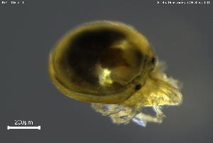  ( - BGPT_018_G10)  @11 [ ] Creative Commons Attribution NonCommercial ShareAlike (2025) (2025) Research Center in Biodiversity and Genetic Resources Research Center in Biodiversity and Genetic Resources