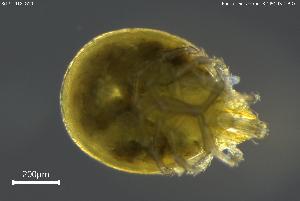  ( - BGPT_018_G10)  @11 [ ] Creative Commons Attribution NonCommercial ShareAlike (2025) (2025) Research Center in Biodiversity and Genetic Resources Research Center in Biodiversity and Genetic Resources