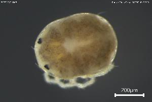  ( - BGPT_022_D08)  @11 [ ] Creative Commons Attribution NonCommercial ShareAlike (2025) (2025) Research Center in Biodiversity and Genetic Resources Research Center in Biodiversity and Genetic Resources